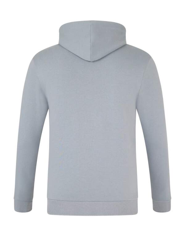 Oracle Red Bull Racing Freizeit-Sweatshirt mit Logo grau CORE