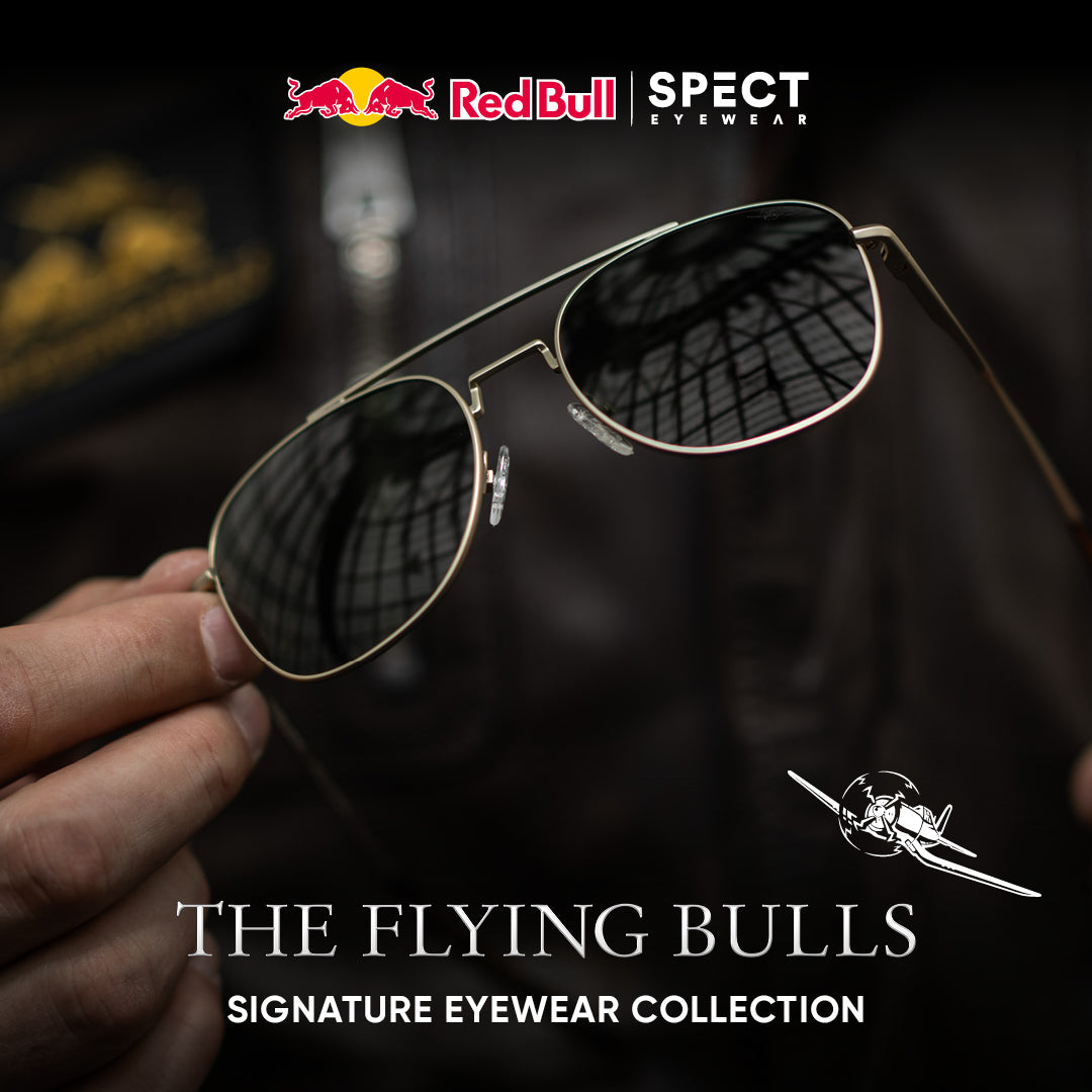 Red Bull Spect Lightning TFB sunglasses brown