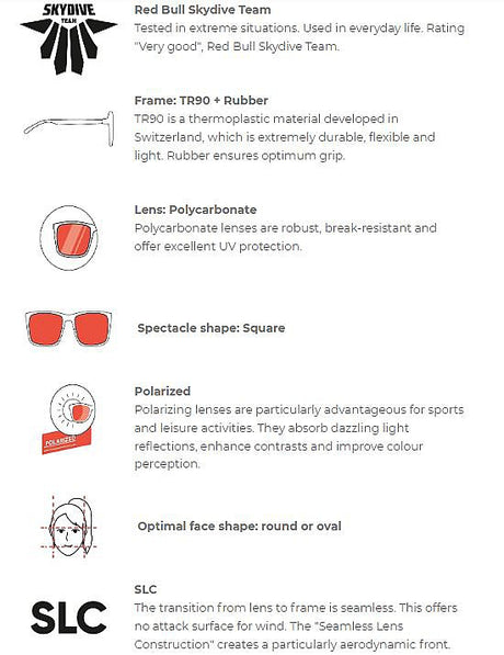 Red Bull Spect Sonnenbrille RAZE schwarz mit Rauchgläsern