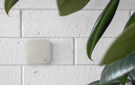 Wandhalterung Peak Design Wall Mount - Bone