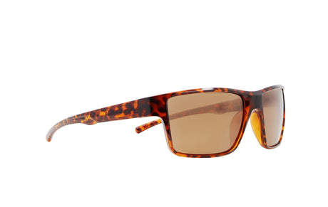 Red Bull Spect CHASE sunglasses brown with brown lenses