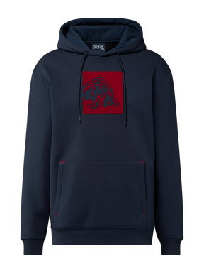 Red Bull Ring CORE casual hoodie with RRI motif