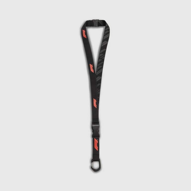 Formel 1 Schlüsselanhänger mit Karabiner und F1-Logo