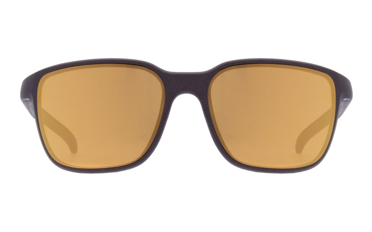 Red Bull Spect TUSK sunglasses brown with gold lenses