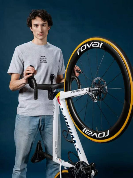 Red Bull Bora Hansgrohe fan T-shirt grey with logo