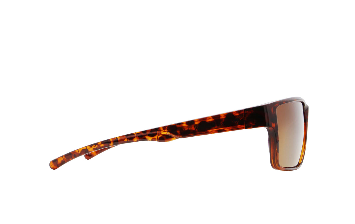 Red Bull Spect Sonnenbrille CHASE braun mit braunen Gläsern