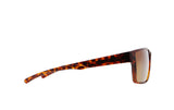 Red Bull Spect Sonnenbrille CHASE braun mit braunen Gläsern