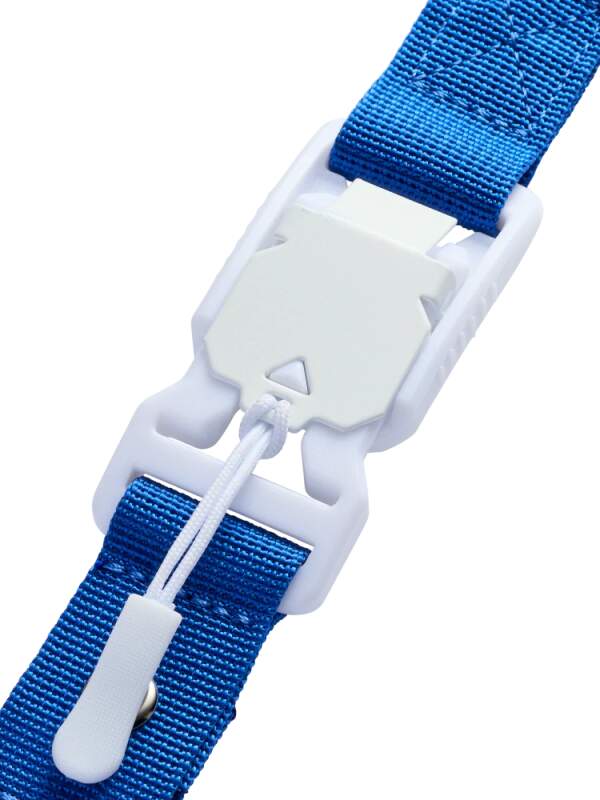 Red Bull Bora Hansgrohe phone lanyard with logo