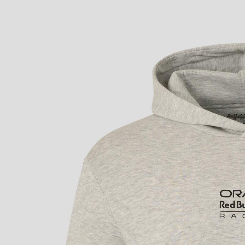 Oracle Red Bull Racing hoodie - GRAPHIC BULL edition grey