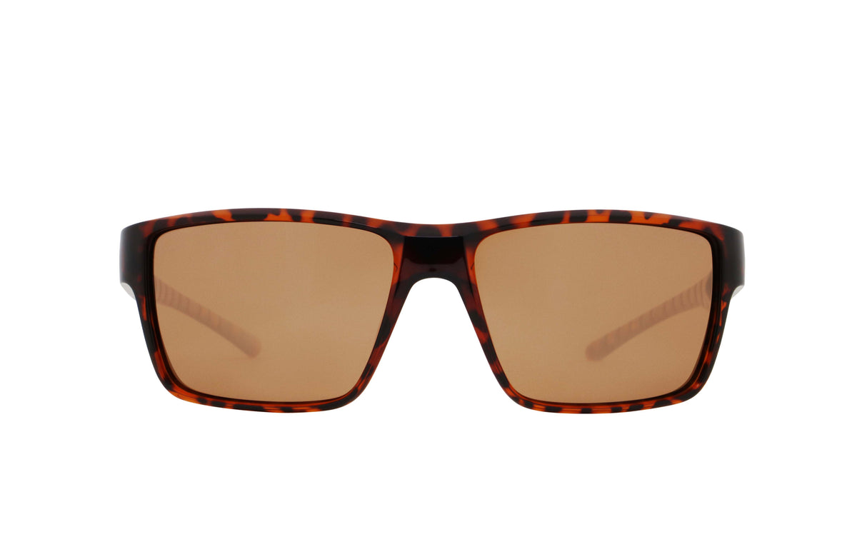 Red Bull Spect Sonnenbrille CHASE braun mit braunen Gläsern