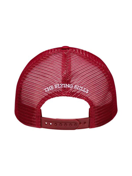 Red Bull The Flying Bulls Radar mesh cap with logo